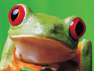 Verseidagseemeeusinc10008539