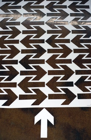 Arrows110016225