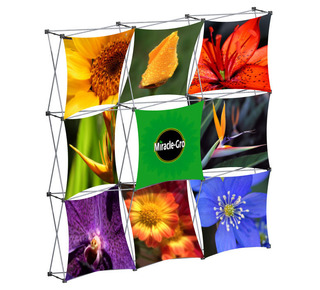 Xpressions Snap Miracle Gro