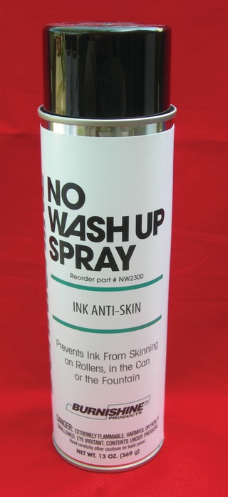 Burnishineinkantiskinspray10343916