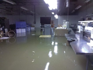 1101003Marshallbrucephoto110568603