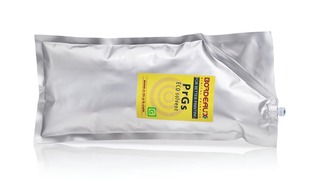 Bordeaux Prgs Bag10891411