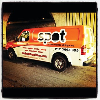 Spotenvy Client Spot10889471