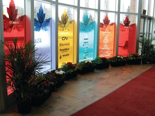 3m Scotchcal Clear View Graphi10980956