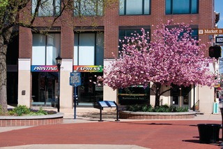 Mifflinpress11078280