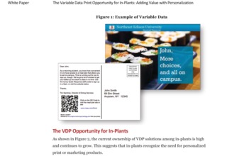 Rsa Vdp Opportunity For In Pla11297310