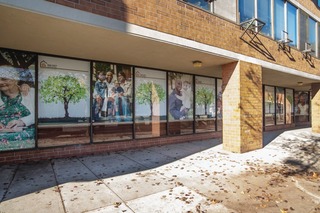 Exterior Window Blinds11362193