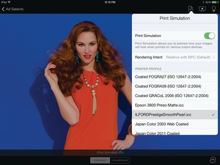 Print Sim Orangedress En11347195