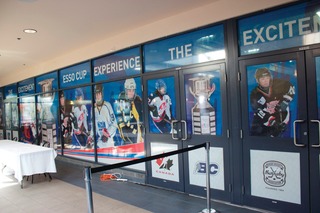 Window Perf Medium11359478