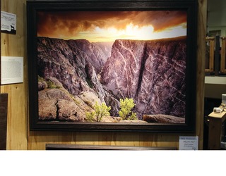 Fine Art Photo By Wil Harmsen11477386
