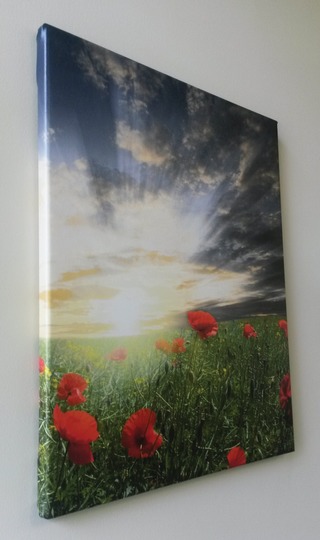 Flowers Canvas Wrap11461931