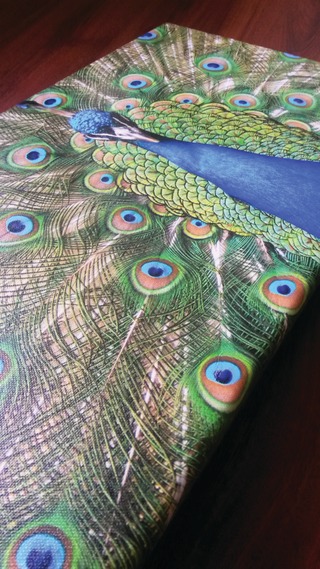 Peacock Table11461935