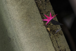 Astro Diecut 17 550859f51643d