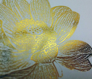lotusMGI 55a6797b94daa