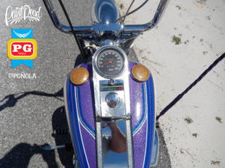 1995 Harley Davison   Softail   Avery Diamond Series   5x colors  13  560a8418efd9b