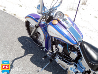 1995 Harley Davison   Softail   Avery Diamond Series   5x colors  15  560a8426310d6