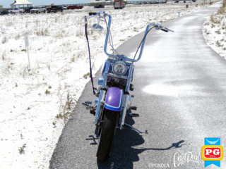 1995 Harley Davison   Softail   Avery Diamond Series   5x colors  16  560a858b7a7da