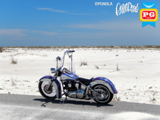1995 Harley Davison   Softail   Avery Diamond Series   5x colors  17  560a8570e906a