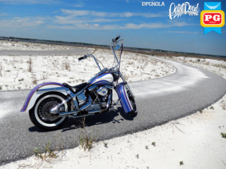1995 Harley Davison   Softail   Avery Diamond Series   5x colors  19  560a857c27c14