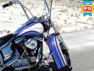 1995 Harley Davison   Softail   Avery Diamond Series   5x colors  1  560a82969ac0e