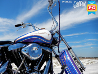 1995 Harley Davison   Softail   Avery Diamond Series   5x colors  2  560a828d00c4b