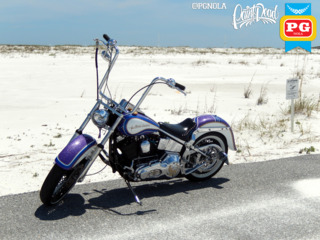 1995 Harley Davison   Softail   Avery Diamond Series   5x colors  5  560a82881f551