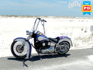 1995 Harley Davison   Softail   Avery Diamond Series   5x colors  6  560a834361610