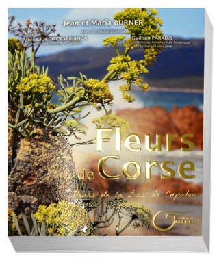 D71 2923 Livre Fleurs de Corse vernis et dorure 56ba16391724b