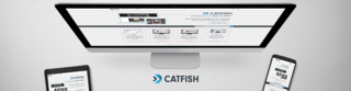 Catfish Banner 57bf2c0de886d Catfish Banner 57bf2c0de886d