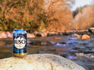 WorldPressOnline busch beer reveals new packaging look ahead of 2017 racing season  1  58a74b4521c18
