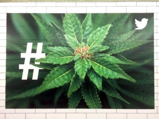 Weed Subway 591cca49dab7e