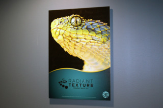 ag seattle 2 adiant texture digital spot UV poster 59242b7052cf7