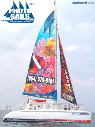 Sol Star W Logo