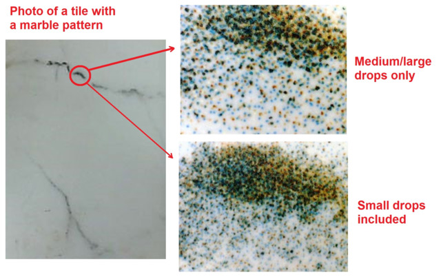 Insight Ceram Pig Fig03(Higher Res)